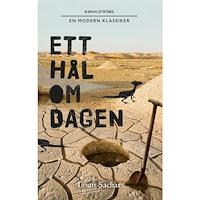 Louis Sachar Ett hål om dagen (pocket)