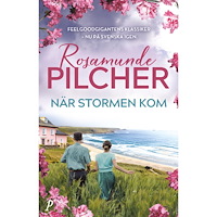 Rosamunde Pilcher När stormen kom (inbunden)