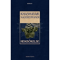 Khashayar Lykke Naderehvandi Hemsökelse (bok, halvklotband)