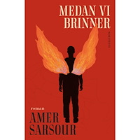Amer Sarsour Medan vi brinner (inbunden)