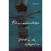 Josefin de Gregorio Försvinnandet (inbunden)