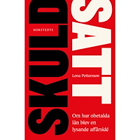 Lena Pettersson Skuldsatt : om hur obetalda lån blev en lysande affärsidé (inbunden)