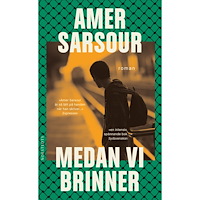 Amer Sarsour Medan vi brinner (pocket)