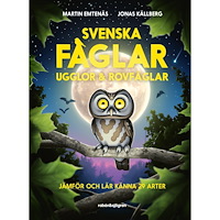 Martin Emtenäs Svenska fåglar : ugglor och rovfåglar : jämför och lär känna 29 arter (inbunden)