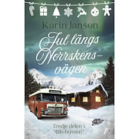 Karin Janson Jul längs Norrskensvägen (pocket)