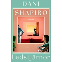 Dani Shapiro Ledstjärnor (inbunden)