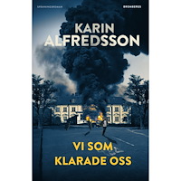 Karin Alfredsson Vi som klarade oss (pocket)