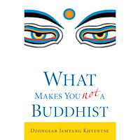 Dzongsar Jamyang Khyentse What Makes You Not a Buddhist (häftad, eng)