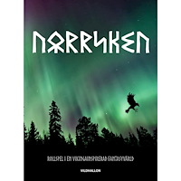 David Gårsjö Norrsken - rollspelet (häftad)