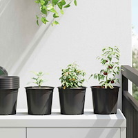 vidaXL Blomkruka 50 pcs Svart Ø 15 x 12,5 cm Plast