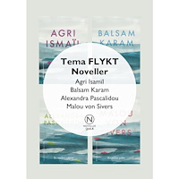 Agri Ismaïl Tema Flykt med Agri Ismaïl, Balsam Karam m.fl. Skolpaket. (häftad)