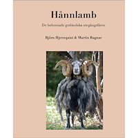 Björn Hjernquist Hånnlamb : de behornade gotländska utegångsfåren (inbunden)