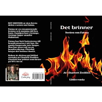 Charlott Zsoldos Det brinner (inbunden)