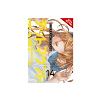 Little, Brown & Company Dead Mount Death Play, Vol. 14 (häftad, eng)