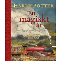 Harry Potter Harry Potter - ett magiskt år