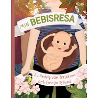 Hedvig van Berlekom Min bebisresa (inbunden)