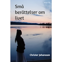 Christer Johansson Små berättelser om livet (bok, danskt band)