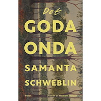 Samanta Schweblin Det goda onda (bok, danskt band)