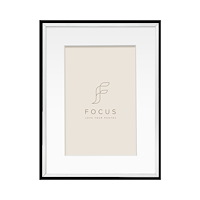 FOCUS Focus Aster Silver 30x40/PP 20x30