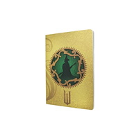 Little, Brown Book Group Magic Unleashed (Wicked Collection) A4 Unlined Cahier (häftad, eng)