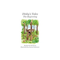 Troubador Publishing Dinky's Tales: The Beginning (inbunden, eng)