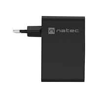 NATEC Natec Ribera strömadapter - GaN - USB, 3 x USB-C - 100 Watt