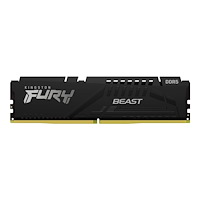 Kingston Technology Kingston FURY Beast