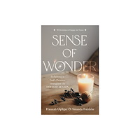 Discovery House Publishers,U.S. Sense of Wonder (häftad, eng)