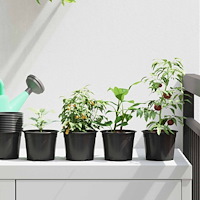 vidaXL Blomkruka 100 pcs Svart Ø 15 x 12,5 cm Plast