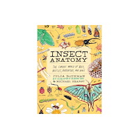 Workman Publishing Insect Anatomy (häftad, eng)