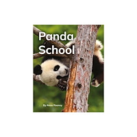 Ransom Publishing Panda School (häftad, eng)