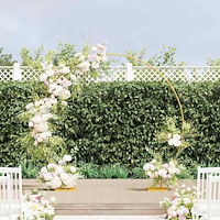 vidaXL Bröllopsbåge Guld 220 x 45 x 200 cm Stål