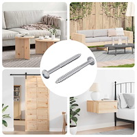 vidaXL Träskruv 2 pcs Silver 9,8 x 53 mm Stål