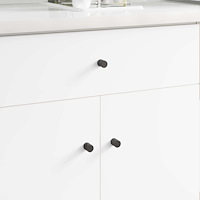 vidaXL Skåpsknopp 2 pcs Svart 18 x 23 mm Järn