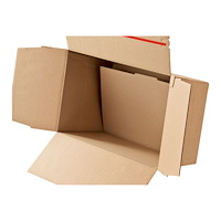 DINKHAUSER KARTONAGEN VERTRIEB GMBH ColomPac CP 141 - transportbox - 31.2 cm x 22.3 cm x 22.4 cm - brun - paket med 10