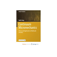 Springer Nature B.V. Continuum Micromechanics (häftad, eng)