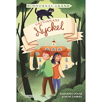 Katarina Genar Grevinnans nyckel (inbunden)