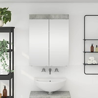 vidaXL Badrumsspegelskåp med hylla TULUM Betonggrå 60 x 16,5 x 78 cm