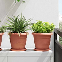 vidaXL Rund Blomkruka 6 pcs Murgrön Ø 14 x 2 cm Plast