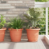 vidaXL Rund Blomkruka 6 pcs Murgrön Ø 14 x 2 cm Plast