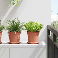 vidaXL Rund Blomkruka 24 pcs Murgrön Ø 14 x 2 cm Plast