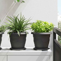 vidaXL Rund Blomkruka 24 pcs Svart Ø 14 x 2 cm Plast