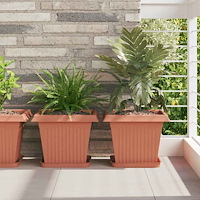 vidaXL Kvadratisk Blomkruka 24 pcs Murgrön 43 x 43 x 33,5 cm Plast