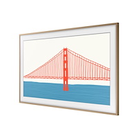 SAMSUNG Samsung VG-SCFA55TK