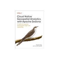 O'Reilly UK Limited Cloud Native Geospatial Analytics with Apache Sedona (häftad, eng)