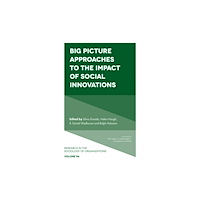 Emerald Publishing Limited Big Picture Approaches to the Impact of Social Innovations (inbunden, eng)