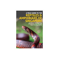 John Beaufoy Publishing Ltd A Field Guide to the Reptiles and Amphibians of Singapore (häftad, eng)