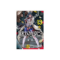 Seven Seas Entertainment, LLC The Dungeon of Black Company Vol. 13 (häftad, eng)