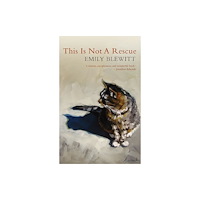 Poetry Wales Press This Is Not a Rescue (häftad, eng)