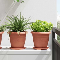 vidaXL Växtkrukor 6 pcs Murgrön Ø 26 x 21,5 cm Plast